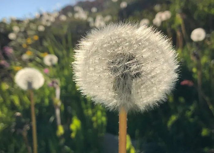 Appartement Laukvik Suites Laukvik