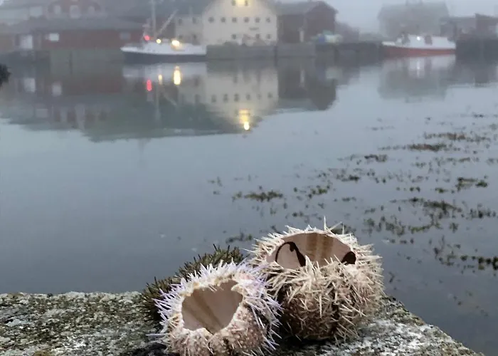 Laukvik Suites Appartement