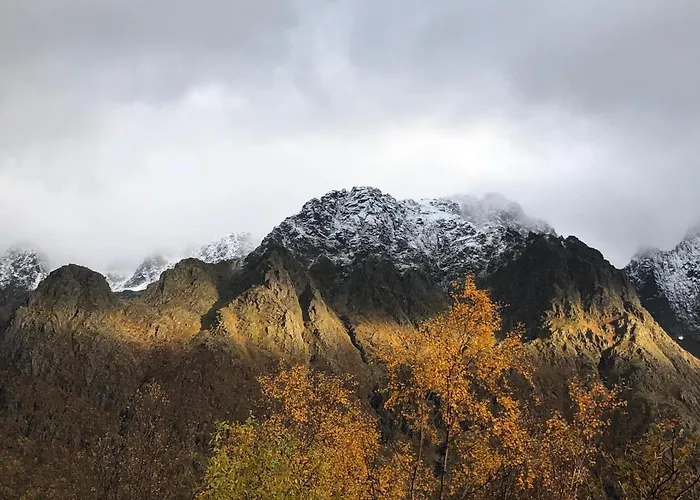 Laukvik Suites * Laukvik