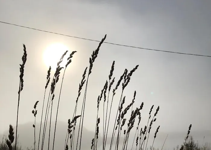 Appartement Laukvik Suites Laukvik