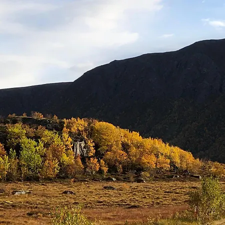 Laukvik Suites Lägenhet Laukvik