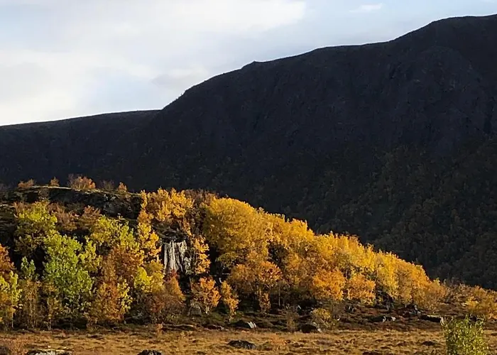 Laukvik Suites Lejlighed Laukvik
